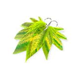 THE WINGS - frosty yellow