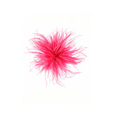 ROBIN BROCHE - raspberry